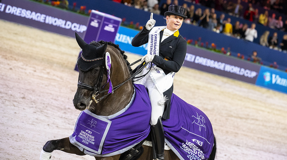 Dressage Season Review